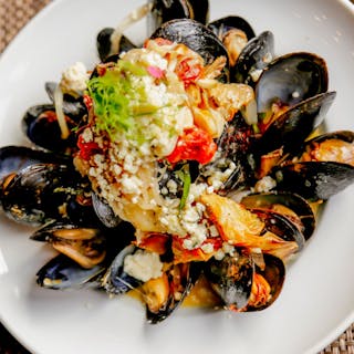 Steamed Mussels Dinner