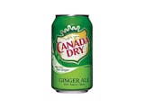 Canned Soda - Ginger Ale