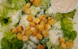 Caeser Salad