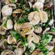 Clams Posillipo - Garlic & Oil - Served with a Side of Spaghetti Garlic & Oil & House Salad