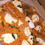Romano Sauce Pizza