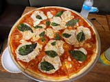 Margherita  Pizza