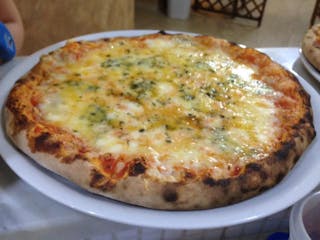 Plain Cheese Pizza