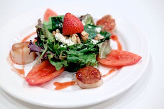 Mesculun & Sea Scallops Salad