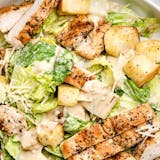 Grilled Chicken Caesar Salad