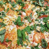 #14 Margherita Pizza