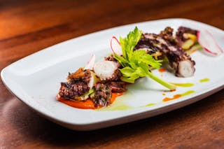 Grilled Octopus