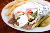 Gyro Special