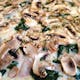 White Spinach & Mushrooms Pizza