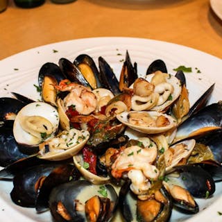 Mussels