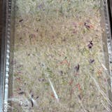 Homemade Coleslaw Catering