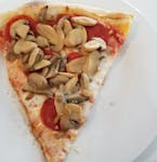 One Topping Pizza Slice