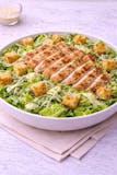 Chicken Caesar Salad