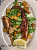 Octopus Grilled