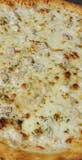 Chicken alfredo sicilian pizza