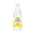 Canada Dry Lemon Lime Sparkling Seltzer Water - 20 fl oz