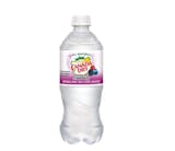 Canada Dry Tripple Berry Sparkling Seltzer Water - 20 fl oz