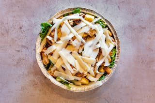 Grilled Chicken Caesar Salad