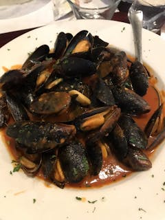 Mussels