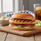 Grilled Chicken Sandwich
