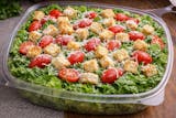 Ceasar Salad