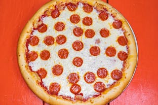 Cheese Pizza with One Topping