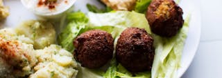 Falafel Plate