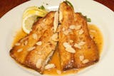 Grilled Salmon Fish Special