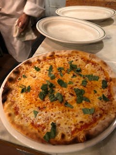 Margherita Pizza