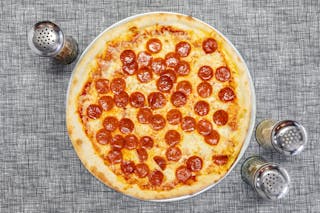 One Topping Pizza Slice