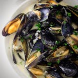 White Mussels