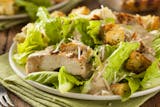 Chicken Caesar Salad