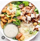 Grilled Chicken Caesar Salad