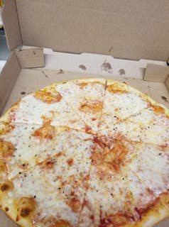Cheese Pizza