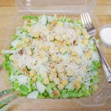 Tossed Caesar Salad