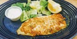Orange Roughy