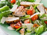 Grilled chicken salad (Halal)