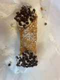 Cannoli