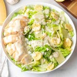 Caesar Salad with Chicken Catering