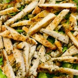 Chicken Caesar Salad