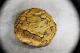 Homemade Chocolate Chip Cookies