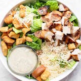 Grilled Chicken Caesar Salad