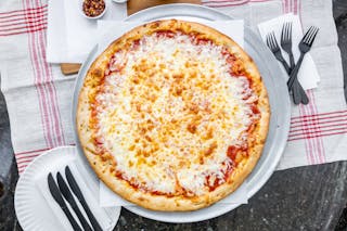 Plain Cheese Pizza