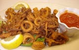 Fried Calamari