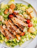 Grilled Chicken Caesar Salad