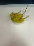 Pepperoncini