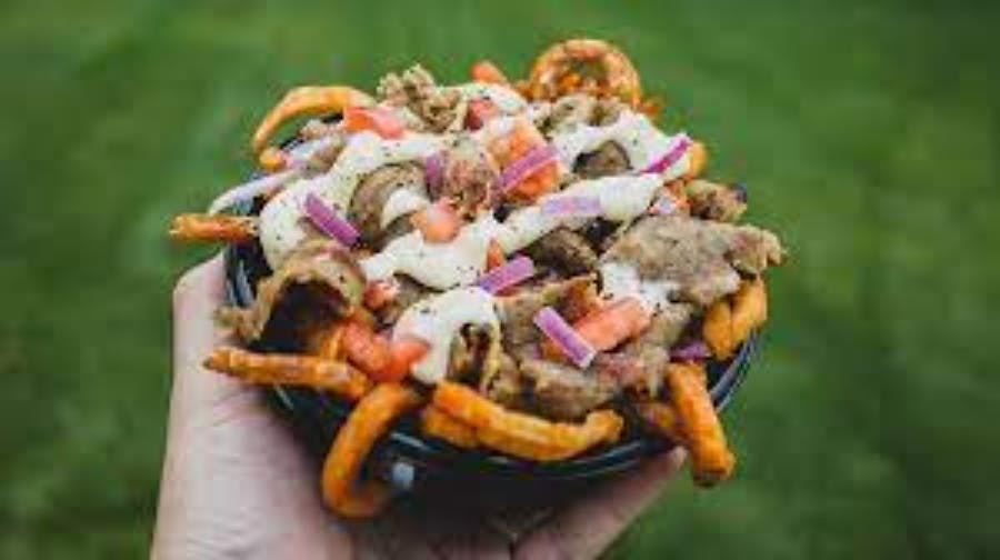 Loaded Fries with gyro