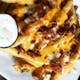 Super Fly Fries