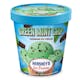 Green Mint Chip Ice Cream