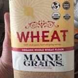 Maine Grains Whole Wheat Flour